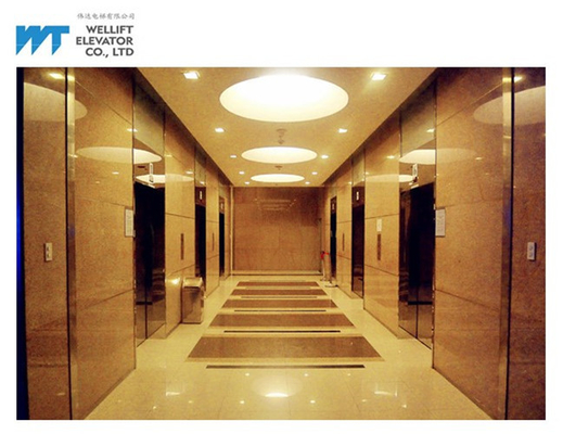 Ascenseur de luxe de passager de haute performance avec le système de contrôle efficace de VVVF