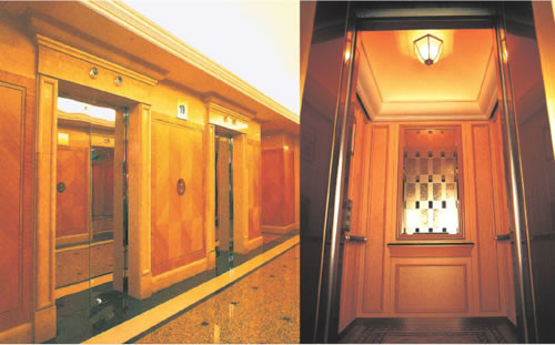 le type de luxe cabine d'ascenseur de passager t'apportent un beau et confortable sentiment